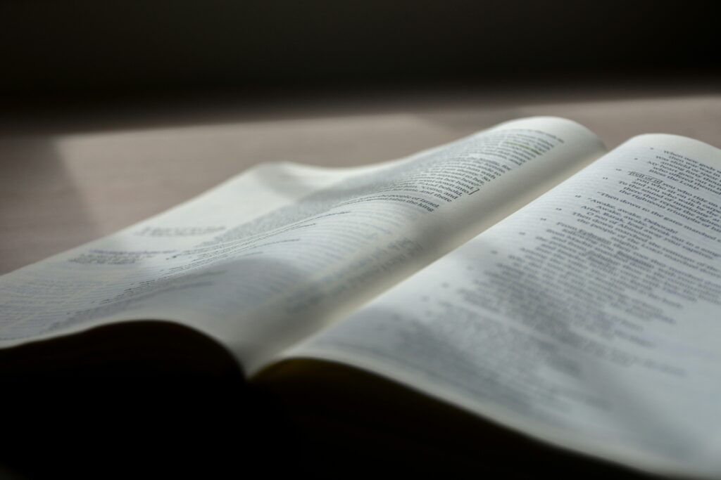 An open Bible under the sun